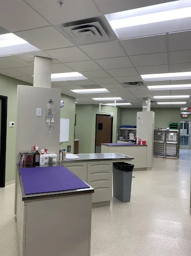Healing Hands Veterinary Hospital — Interior electrical work